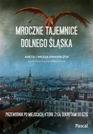 E-booki - przewodniki - Mroczne tajemnice Dolnego Śląska - miniaturka - grafika 1