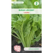 Nasiona i cebule - Burak liściowy Lucullus nasiona 5g W. Legutko - miniaturka - grafika 1