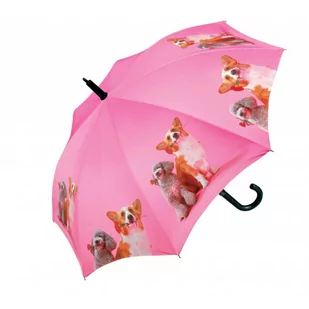 Psy - parasol strzelający dla dzieci - Parasole - miniaturka - grafika 1