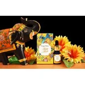 Aromaterapia - Song of India Song of India Olejek Zapachowy Ivory Musk 10ml - miniaturka - grafika 1