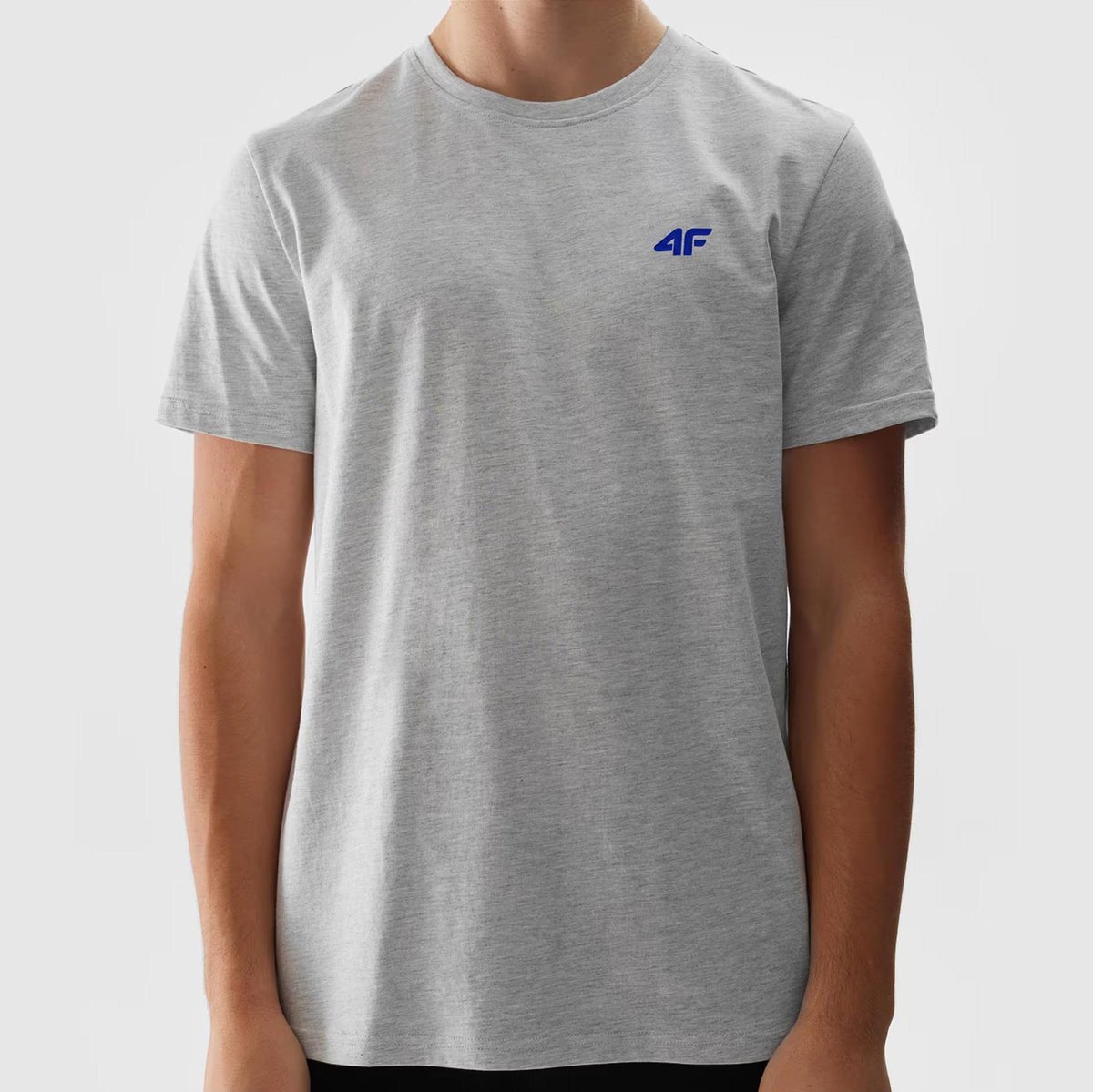 Koszulka Męska 4F Jasny Szary Sportowy T-shirt Regular 4FWSS24TTSHM1887 S Szary