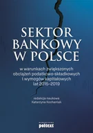 E-booki - biznes i ekonomia - Sektor bankowy w Polsce w warunkach zwiększonych obciążeń podatkowo-składkowych i wymogów kapitałowych lat 2015-2019 - miniaturka - grafika 1