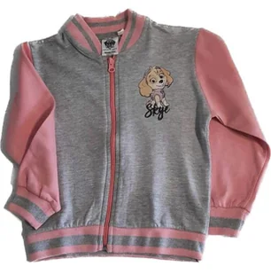 Nickelodeon bluza dziecięca bawełna szary rozmiar 122/128 - Bluzy dla dziewczynek - miniaturka - grafika 1