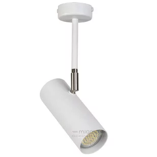 Sigma OKO biały 1 Oczko halogenowe M 1x GU10 (max 25W) 32594 - Oprawy, klosze i abażury - miniaturka - grafika 1