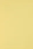 Dekoratorstwo - Papier brystol kolorowy 250g j. żółty SRA3 10ark. - miniaturka - grafika 1