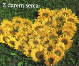 Z darem serca. Perełka 144 - książka - Aforyzmy i sentencje - miniaturka - grafika 1