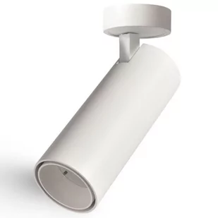 Lampa nastropowa ABIGALI-LWQT-W-12-24WW-DIM LED 12W 3000K spot biały - Lampy sufitowe - miniaturka - grafika 1
