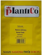 Nasiona i cebule - Cukinia Soraya 100 g Plantico POLAN - miniaturka - grafika 1