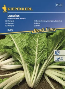 Kiepenkerl Boćwina burak liściowy Lukullus 102047 - Nasiona i cebule - miniaturka - grafika 1