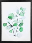 Obrazy i zdjęcia na płótnie - Present Time Druk artystyczny "Eucalyptus" - 30 x 40 cm - miniaturka - grafika 1