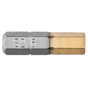 Narzędzia warsztatowe - GRAPHITE GRAPHITE Końcówki wkrętakowe GRAPHITE 57H970 HEX6 x 25 mm 2 sztuki) 57H970 57H970 - miniaturka - grafika 1