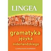 Podręczniki obcojęzyczne - Gramatyka języka niderlandzkiego - Lingea - miniaturka - grafika 1