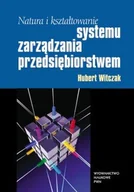 Podręczniki dla szkół wyższych - Natura i kształtowanie systemu zarządzania przedsiębiorstwem - miniaturka - grafika 1