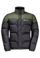 Kurtki męskie - Jack Wolfskin DNA Tundra Xt męska kurtka hardshell Greenwood L - miniaturka - grafika 1