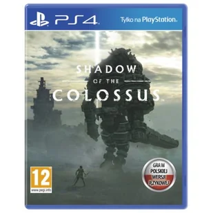 Shadow of the Colossus GRA PS4 - Gry PlayStation 4 - miniaturka - grafika 1
