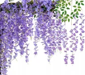 Sztuczne kwiaty - Sztuczny Wiszący BLUSZCZ Roślina Dekoracja x12 - Kwiatowy Zestaw 12 Gałązek Glicynii - miniaturka - grafika 1