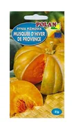 Nasiona i cebule - Dynia piżmowa Musquee d'Hiver de Provence 3 g POLAN - miniaturka - grafika 1