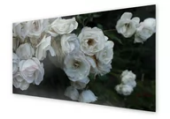 Dekoracje domu - Panel kuchenny HOMEPRINT Pąki białych róż 120x60 cm - miniaturka - grafika 1