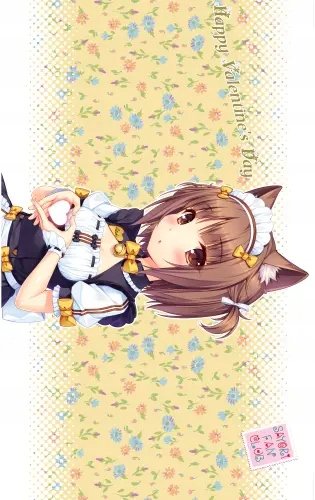 Plakat Anime Manga Nekopara np_004 A3 (custom)