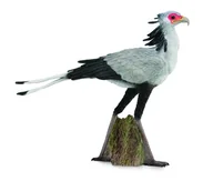 Figurki dla dzieci - Collecta Sekretarz ptak L - miniaturka - grafika 1