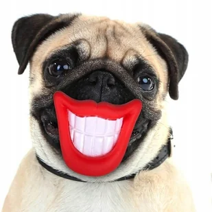 Piszcząca Zabawka Gryzak Dla Psa Kota - Zabawki dla psów - miniaturka - grafika 1