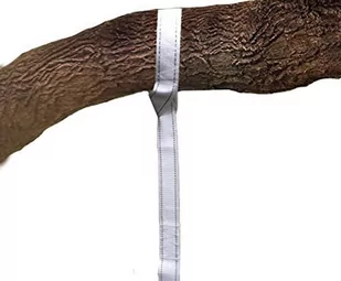 Cacoon Pas nośny cacoon drzewo dla cacoon namiotów ZAC001 - Hamaki - miniaturka - grafika 2