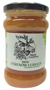 Miód z terenów leśnych 400g Miody z Łochowa - Miód - miniaturka - grafika 1