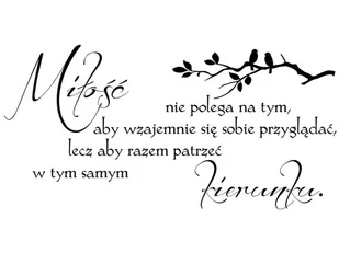 Cytaty, Miłość, Naklejka ścienna, 200x100 cm - Naklejki na ścianę - miniaturka - grafika 1