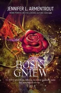 Horror, fantastyka grozy - Boski gniew - miniaturka - grafika 1