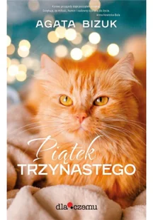 DLACZEMU Piątek 13 - Agata Bizuk - Literatura obyczajowa - miniaturka - grafika 2