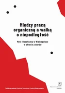Historia świata - Między pracą organiczną a walką o niepodległość - miniaturka - grafika 1