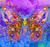 Malowanie po numerach - Obraz Malowanie Po Numerach Na Krośnie + Rama - miniaturka - grafika 1