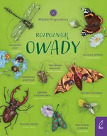 Książki edukacyjne - Rozpoznaję owady. Młodzi przyrodnicy - miniaturka - grafika 1