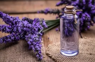 Hydrolat z Lawendy - Toniki i hydrolaty do twarzy - miniaturka - grafika 1