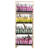 Kwiaty doniczkowe - Pięciornik w balocie wys. 35 cm - miniaturka - grafika 1