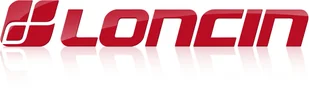 SILNIK LONCIN LC1P65FE-B DO KOSIARKI SPALINOWY BENZYNOWY 3.3 KM 139 cm3 WAŁ PIONOWY WALCOWY 22x62mm MOTOR HONDA ,VANGUARD , B&S , BRIGGS & STRATTON, KOHLER, KAWASAKI - Akcesoria do kos i kosiarek - miniaturka - grafika 12