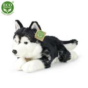 Maskotki i pluszaki - Rappa Pluszowy pies husky, 36 cm ECO-FRIENDLY - miniaturka - grafika 1