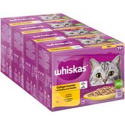 Mokra karma dla kotów - Megapakiet Whiskas Senior, saszetki, 48 x 85 g - 11+ Wybór dań drobiowych w galarecie - miniaturka - grafika 1