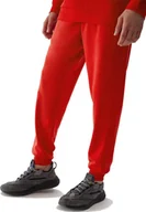 Spodnie sportowe męskie - 4f Spodnie dresowe 4F Męskie sportowe CZERWONE Długie L - miniaturka - grafika 1