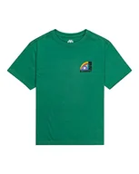 Bluzki damskie - Quiksilver Bluzka chłopięca Farm Ss Youth (1 szt.) - miniaturka - grafika 1