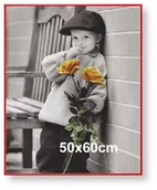 Ramki na zdjęcia - Rama aluminiowa do plakatu 50x60cm, czerwona / ARTVIC - miniaturka - grafika 1