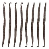 Przyprawy i zioła sypkie - LASKA WANILII 13-16 cm Wanilia Laski Madagaskar Jakość 1 Kol-Pol - 8 sztuk - miniaturka - grafika 1