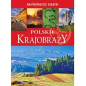 Albumy krajoznawcze - Polskie Krajobrazy Praca zbiorowa - miniaturka - grafika 1