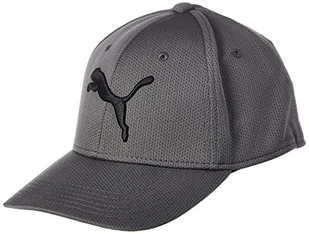 PUMA Męska czapka z daszkiem ze stretchem - Czapki damskie - miniaturka - grafika 1