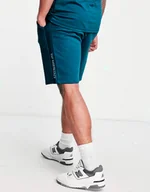 Spodenki męskie - SPODENKI MĘSKIE THE NORTH FACE BAWEŁNA DRESOWE SZORTY NIEBIESKIE ROZMIAR XL - miniaturka - grafika 1