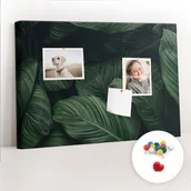 Tablice i flipcharty - Szkolna Tablica korkowa 60x40 cm, Kolorowe Pinezki, wzór Tropikalna monstera - miniaturka - grafika 1