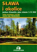 Obcojęzyczne przewodniki, mapy i atlasy - Mapa - Sława i okolice 1:15 000 - książka - miniaturka - grafika 1