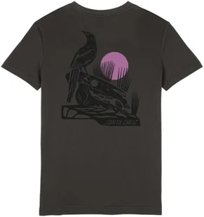 t-shirt damski SANTA CRUZ RAVEN TEE Charcoal - Koszulki i topy damskie - miniaturka - grafika 1