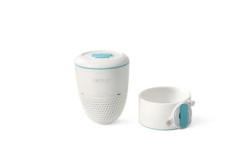 Intex 
