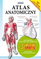 E-booki - nauka - Atlas anatomiczny - miniaturka - grafika 1